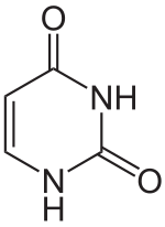 Structure de la 1,3H-Uracile