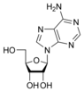 structure chimique de l'adenosine